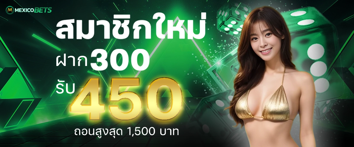 โปรโมชั่น 300.450