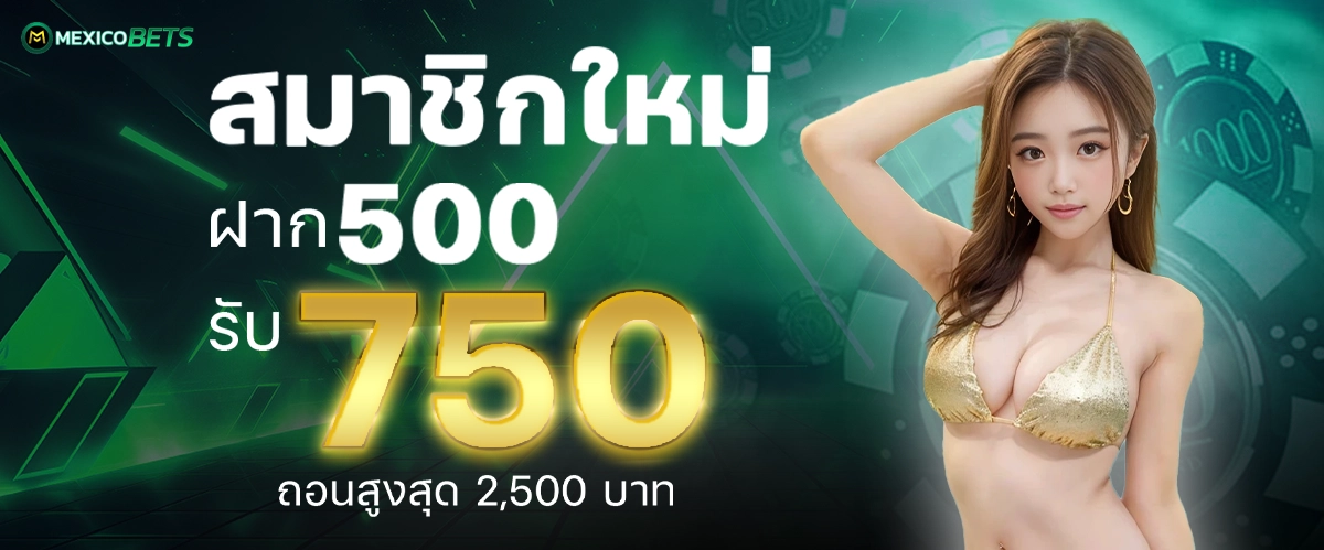 โปรโมชั่น 500.750